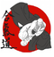 Aikido imagem site.png